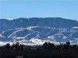 0 Bear Valley Road - Photo 3