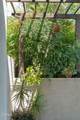 1703 Hill Drive - Photo 5
