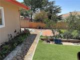 11735 Peach Tree - Photo 65