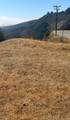 2906 Las Flores Canyon Rd - Photo 7