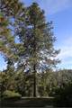 5636 Whitlock - Photo 35