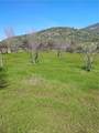 35371 Spanish Oak - Photo 2