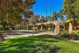 25975 Avenida Classica - Photo 22