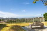 53 Finca - Photo 43