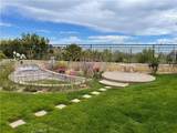 20124 Via Cellini - Photo 38
