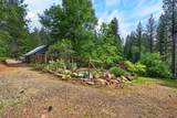 311 Hollow Oak - Photo 57