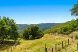 19534 Montevina Road - Photo 96