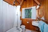 260 Burnt Mill - Photo 33