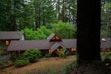 295 Jims Road - Photo 110