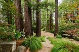 295 Jims Road - Photo 119