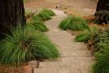295 Jims Road - Photo 120