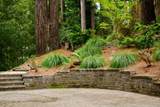 295 Jims Road - Photo 125