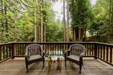 295 Jims Road - Photo 63