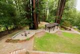 295 Jims Road - Photo 96