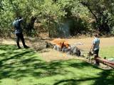 0 Cinnabar Hills Road - Photo 34