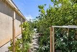 37184 Running Springs - Photo 49