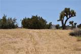0 Palomar - Photo 7