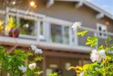 3210 Mulberry Drive - Photo 51