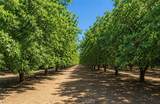 34338 Nevis - Photo 22
