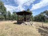 34914 Sneezeweed Lane - Photo 47