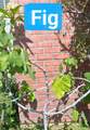 511 Mcpherrin - Photo 22