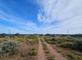 0 Cactus - Photo 3
