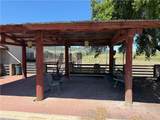 1640 Valley Quail - Photo 3