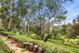 25091 Danapepper - Photo 31