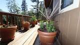 9714 St Helena - Photo 24