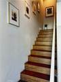 10522 Poinsettia Ln - Photo 31