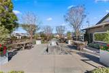 28 Ocaso Street - Photo 50