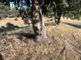 40007 92nd Street - Photo 24