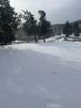 40007 92nd Street - Photo 37