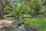 45455 Lorenz Lane - Photo 55
