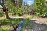 45455 Lorenz Lane - Photo 56