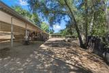 45455 Lorenz Lane - Photo 63