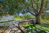 6 Tanglewood Lane - Photo 56