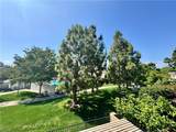 4 Mandrake Way - Photo 27