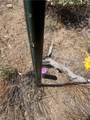 0 Mesquite Road - Photo 6