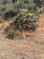 0 Mesquite Road - Photo 7