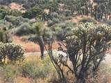 0 Mesquite Road - Photo 8