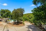 1225 Grand View - Photo 13
