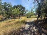 7274 Crazy Horse - Photo 3