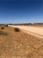 23421 Colony Road - Photo 13