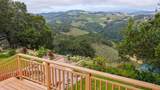 25295 Tierra Grande Drive - Photo 4