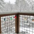 24945 Marion Ridge Drive - Photo 58