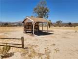 2620 Oasis Street - Photo 29