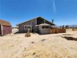 2620 Oasis Street - Photo 36