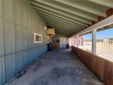 2620 Oasis Street - Photo 39