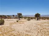 2620 Oasis Street - Photo 46